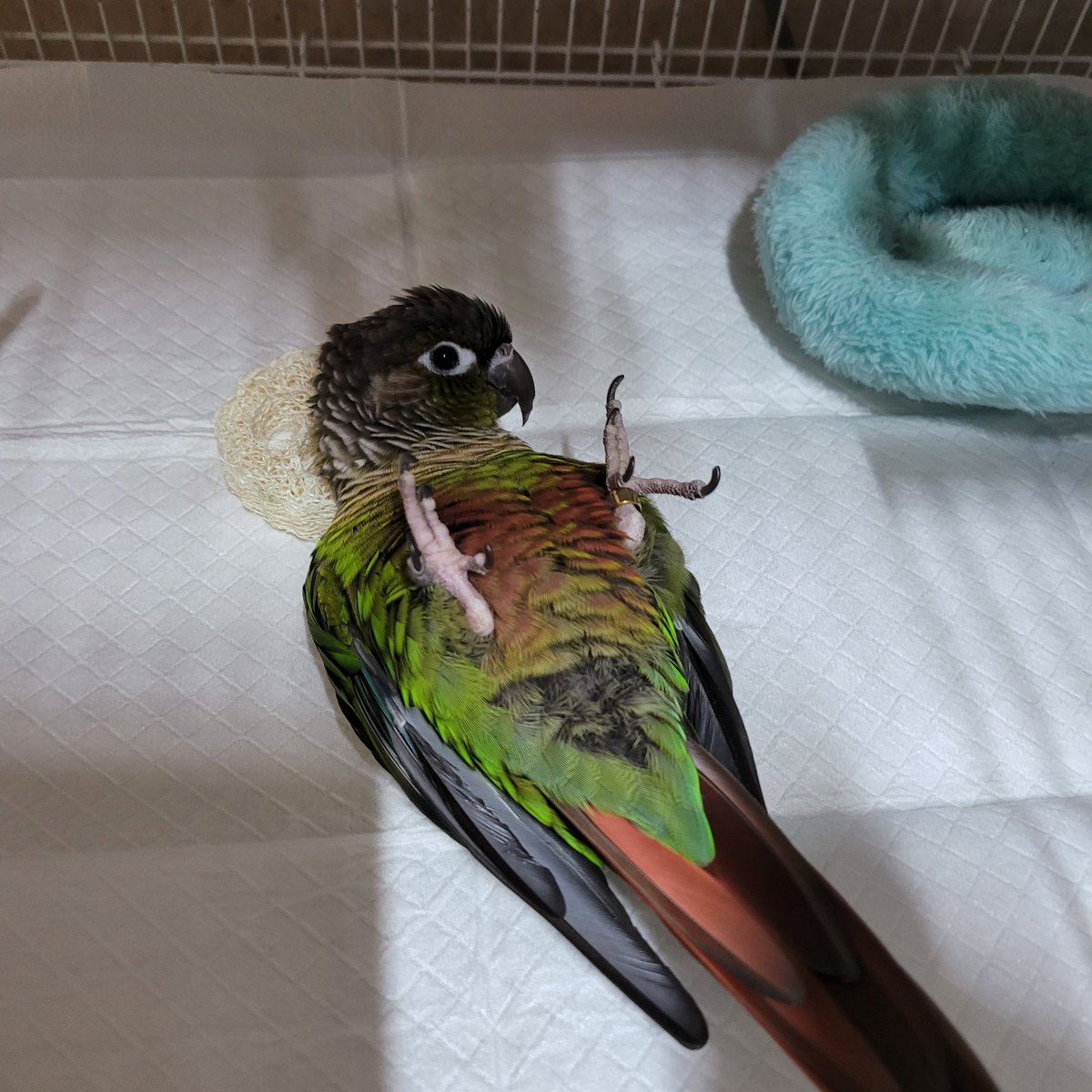 자니?
안자는구나