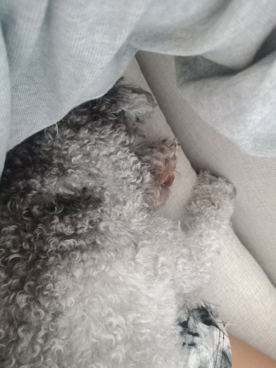 empress bedrottia of freaklandia tweet media