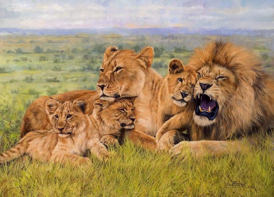 Beautiful family.!😻✨💫🦁💕🦁💕🦁💯📸❤️