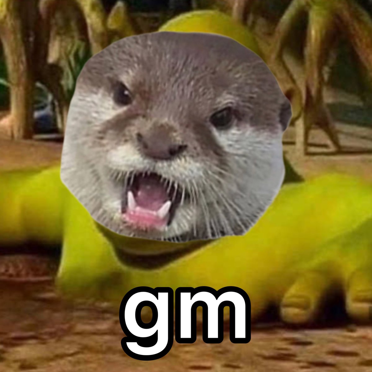 OTTΞR🦦 tweet media