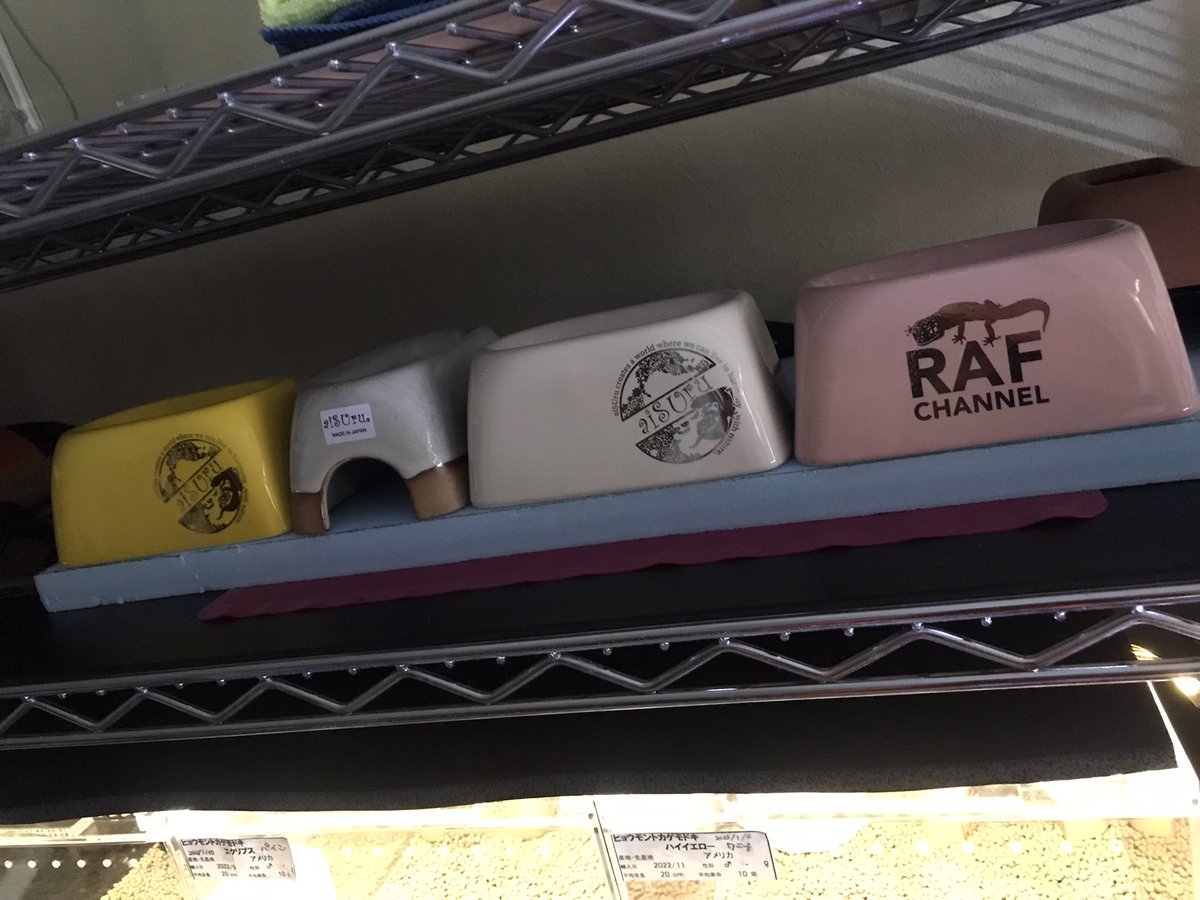 ishelter_aiSUru_hokkaido (@IshelterH) / Posts / X