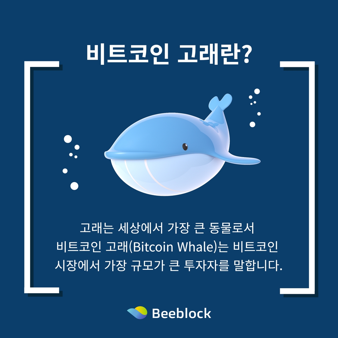 비블록 거래소 tweet media