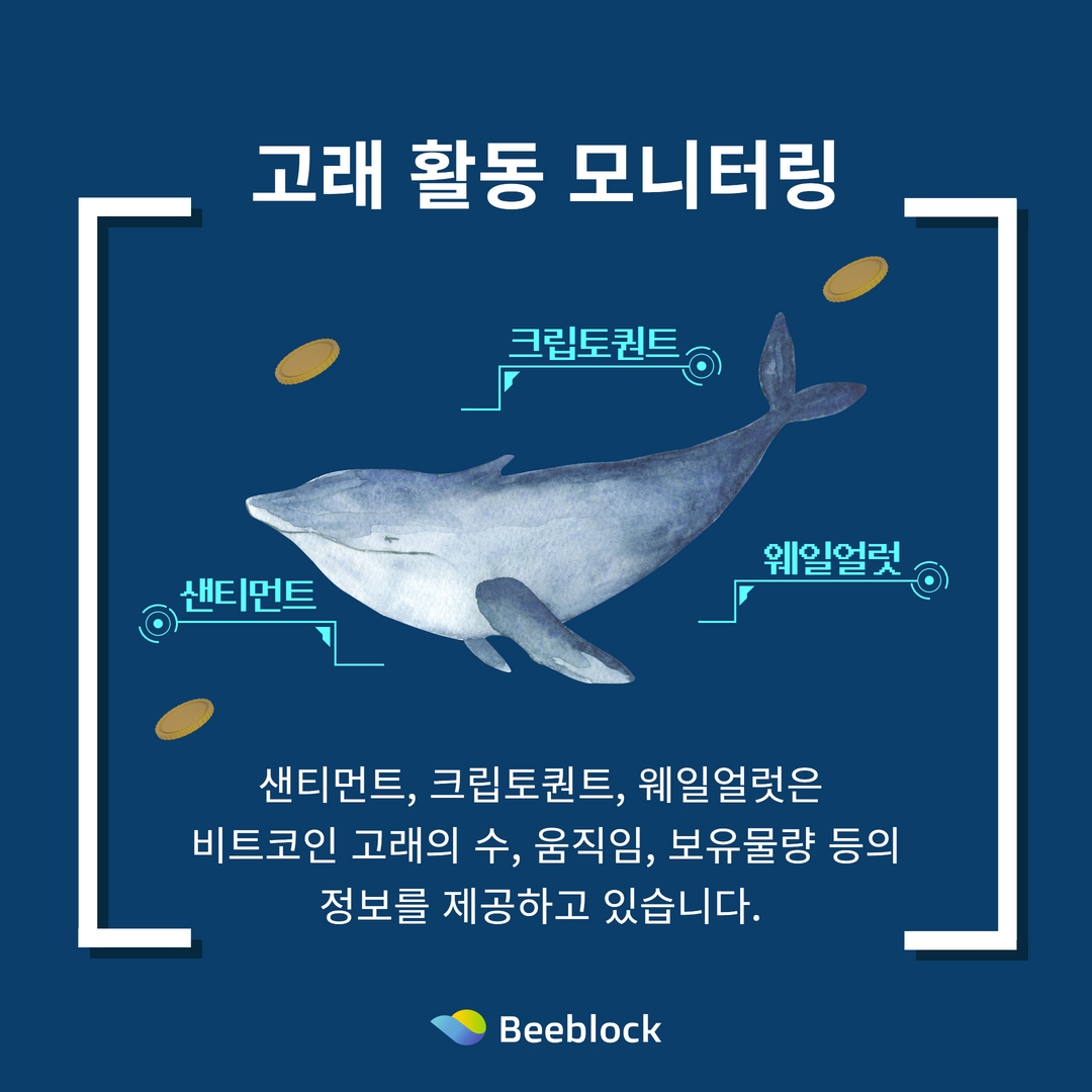 비블록 거래소 tweet media