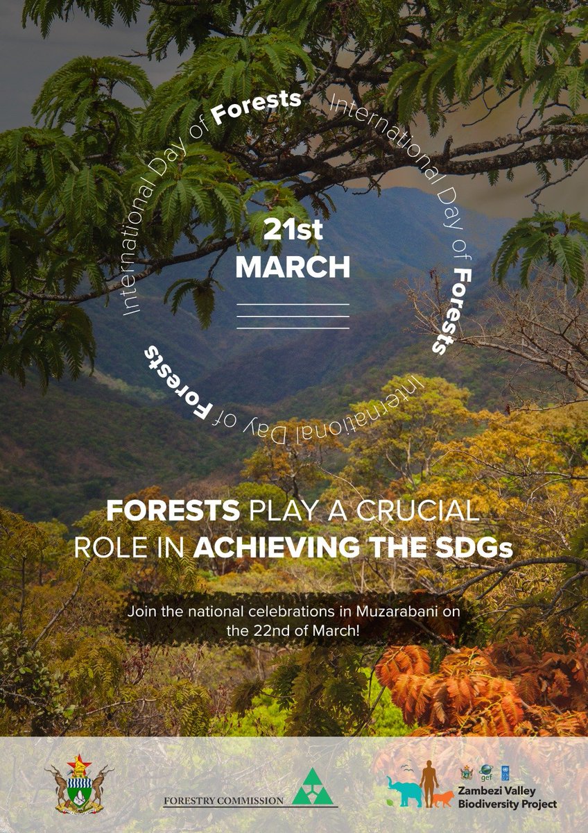 International Day of Forests- 'Forests and Health' #idf2023 2023 amplifies the call to safeguard our precious forest resources because #healthyforests will bring #healthypeople.