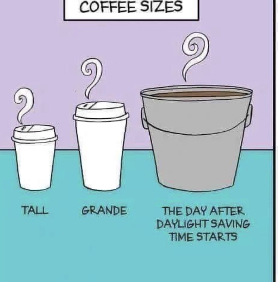 KenAndrewsEduc's tweet photo. @GregorCraigie Saw this one and thought of you @GregorCraigie https://t.co/CalTF4WxZz