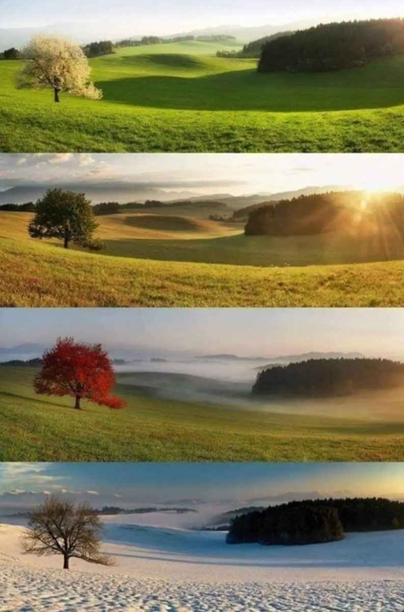 Truthteller130's tweet photo. Every life has its seasons, be sure to include God in all of them.

#God  #Seasons https://t.co/3VDeZCQx0r