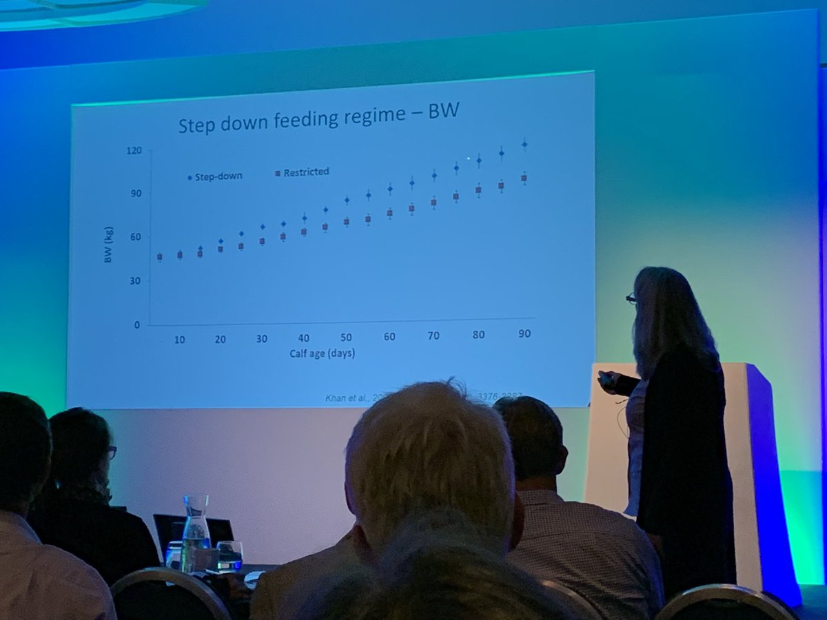 MichaeltDavey's tweet photo. @HefinR @Farmer_wheeler @Rhianpricemedia @SaraPedersen3 @AHDB_Dairy @TrouwNutr_GB Marina Von Keyserlingk spoke about step down feeding at total dairy 19. lot of milk early on when their “system” is programmed for milk to have a strong, healthy, well developing calf at that stage. Then reduce milk and being bigger &amp; stronger they then go on to eat more starter https://t.co/gj43b86wrU