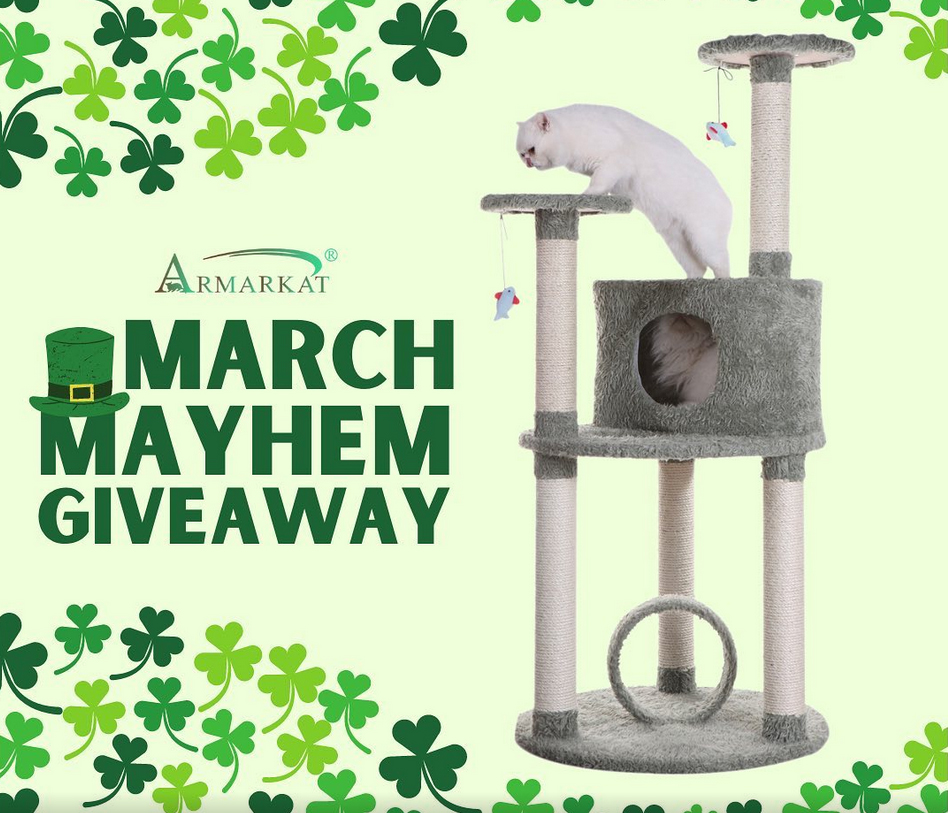 ArmarkatPets's tweet photo. Feeling lucky? it's your chance to win a free cat tree! March Mayhem GIVEAWAY going on right now on our Facebook! Ends March 16th at 11:59pm PST. 🐈🐾😸

https://t.co/C9NTEI54a7

#Giveaway #cattree #Armarkat #CatsOfTwitter #catproduct https://t.co/ipUCduYULE