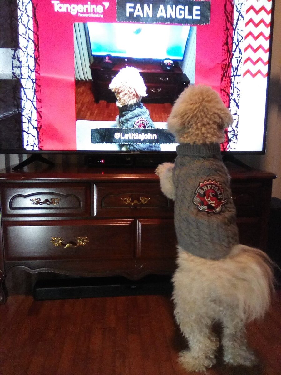 #tangerinefanangle <a href="/Raptors/">Toronto Raptors</a>