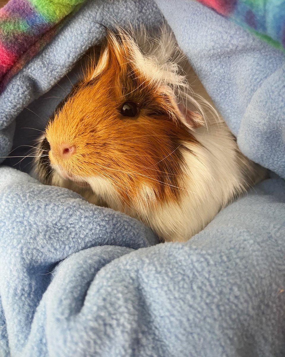 Kara Kusterman tweet media