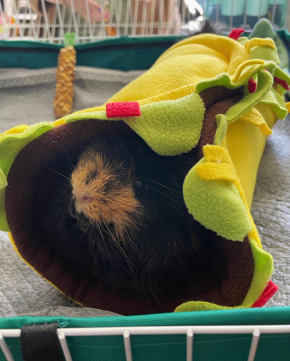 Kara Kusterman tweet media