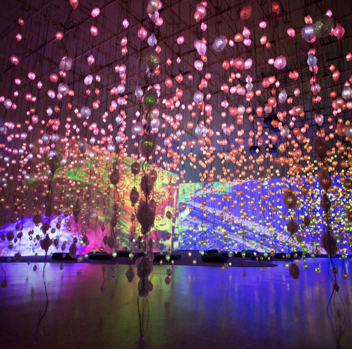 VisitHouston's tweet photo. A wondrous experience awaits at @MFAH! Immerse yourself in lights and the artful projection of “Pipilotti Rist: Pixel Forest and Worry Will Vanish.” ✨ #ExploreHou
📸 @MFAH 
https://t.co/UuDTjJ59Rn https://t.co/GRLHtoTXX0