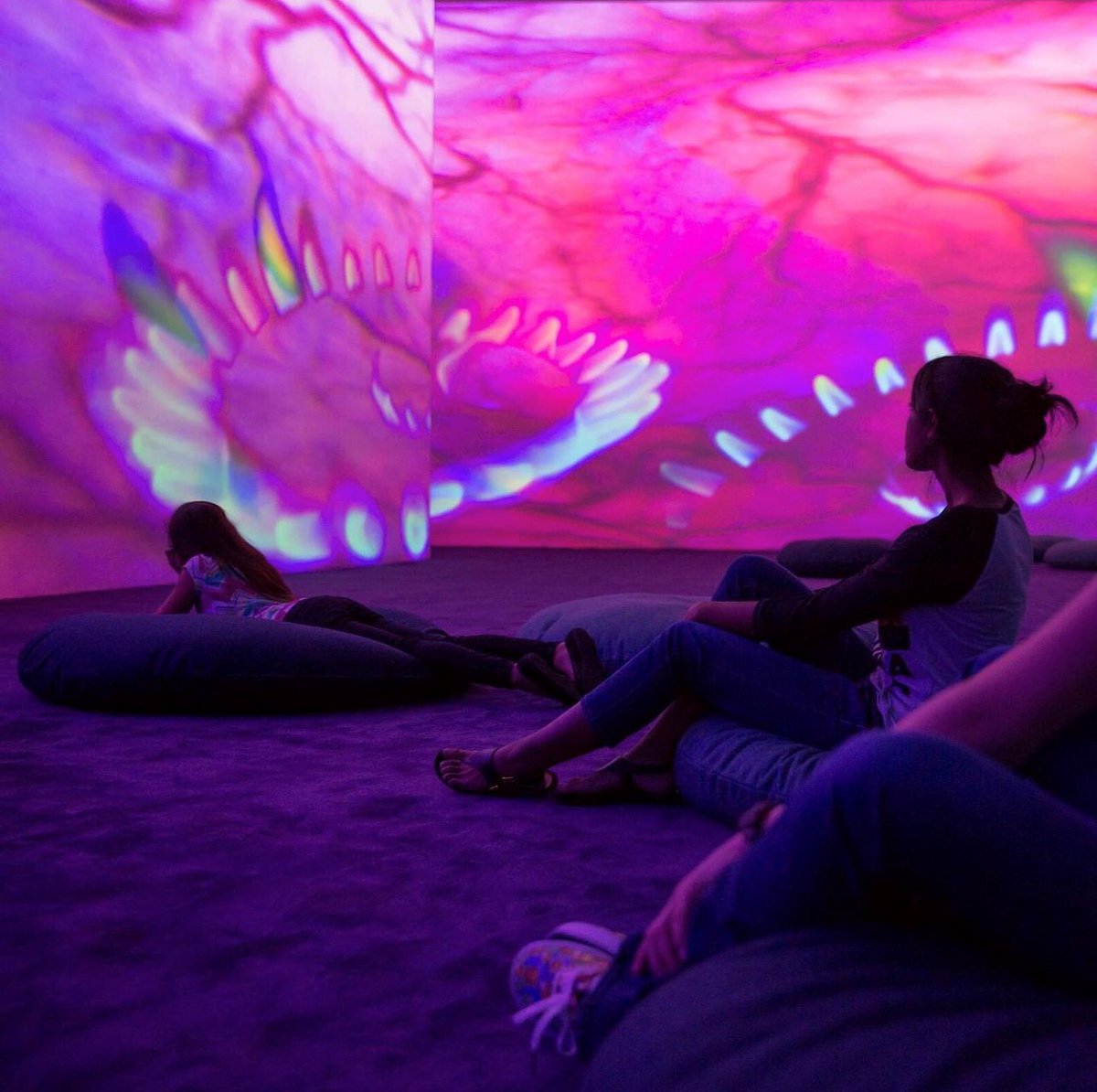VisitHouston's tweet photo. A wondrous experience awaits at @MFAH! Immerse yourself in lights and the artful projection of “Pipilotti Rist: Pixel Forest and Worry Will Vanish.” ✨ #ExploreHou
📸 @MFAH 
https://t.co/UuDTjJ59Rn https://t.co/GRLHtoTXX0