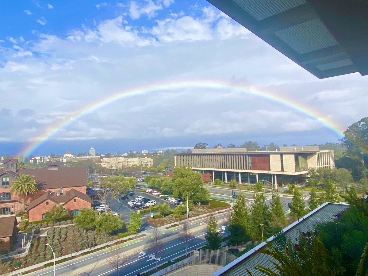RyanRLion's tweet photo. View from @StanfordChild ! https://t.co/hJiZGBg7aD