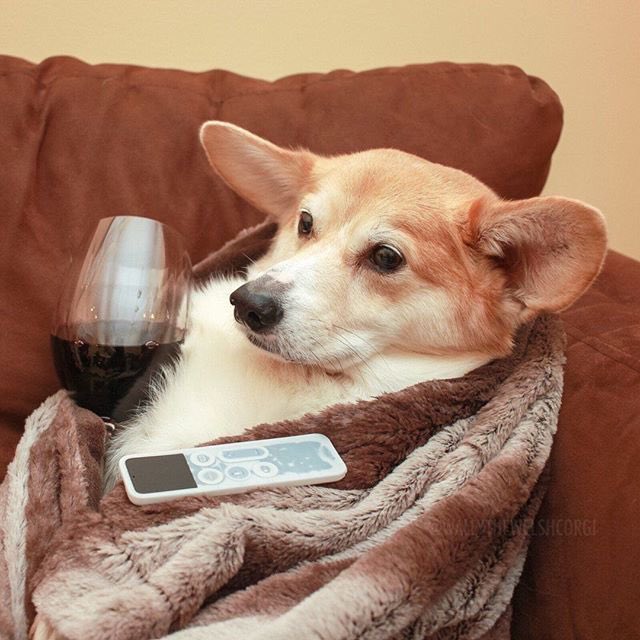 What Zach would see if he crashed my viewing party:

#TheBachelor