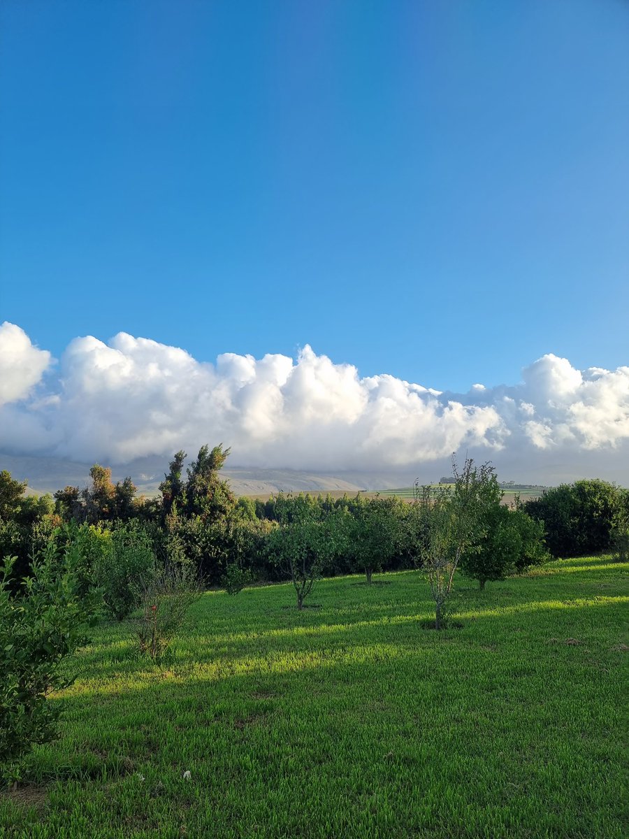 7SpringsWine's tweet image. Not a bad view from the front of our office 
#overberg