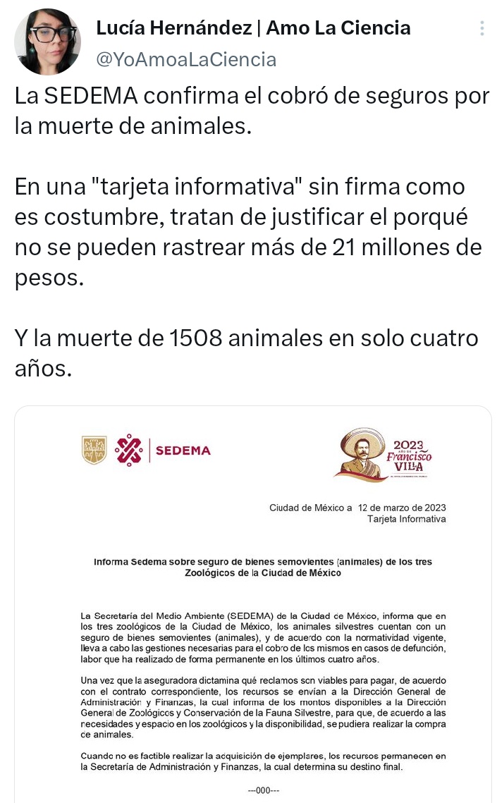 YoAmoaLaCiencia's tweet photo. @Claudiashein @CFilmaCDMX Su gobierno ya confirmó el cobro de seguros por la muerte de animales.

Se han cobrado más de 21 millones de pesos por la muerte de 687 animales, pero no se sabe dónde está el dinero.

1508 animales han muerto desde que usted decidió hacer recortes.

https://t.co/Cbu9wLBALK https://t.co/xfzpTXQcTM
