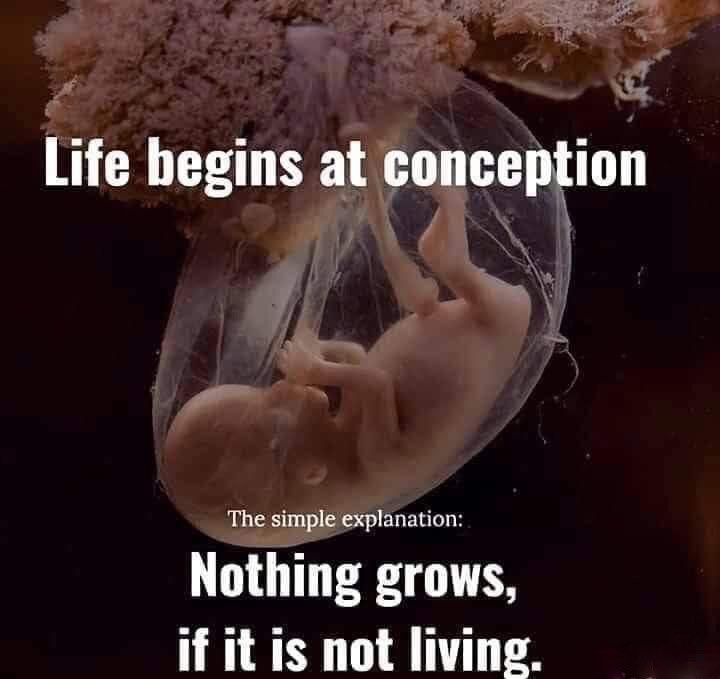 Fact. Any argument against this is invalid. #FollowTheScience #TrueCatholicsDefendTheUnborn #AbortionIsMurder #AllLivesMatter #AbolishAbortion #DefendLife #EndTheAbortionHolocaust #LifeBeginsAtConception #ProLife #TradCat