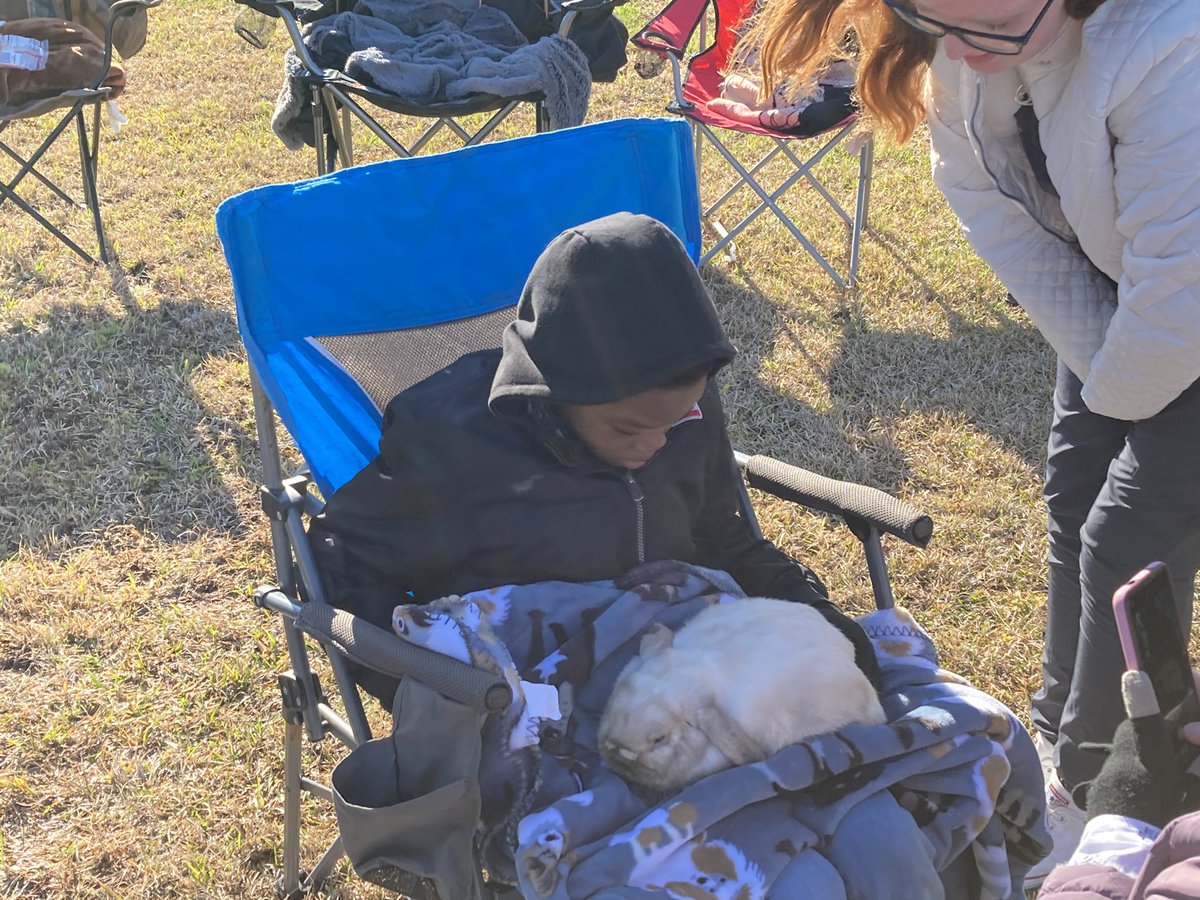 Lisa Spencer tweet media