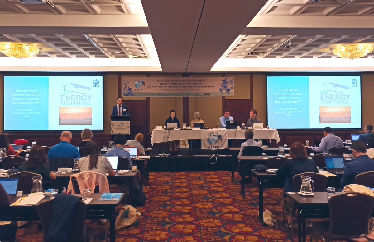 _Ivan_Ramirez's tweet photo. Thanks #EAAFP for giving us the chance to talk about #migratory species and #renewables and the work of the #EnergyTaskForce
Asia-Pacific region vital for so many species, we need to boost evidence and planning to avoid damages
https://t.co/kVdw0d0nN5 https://t.co/TPBDuCtbeo