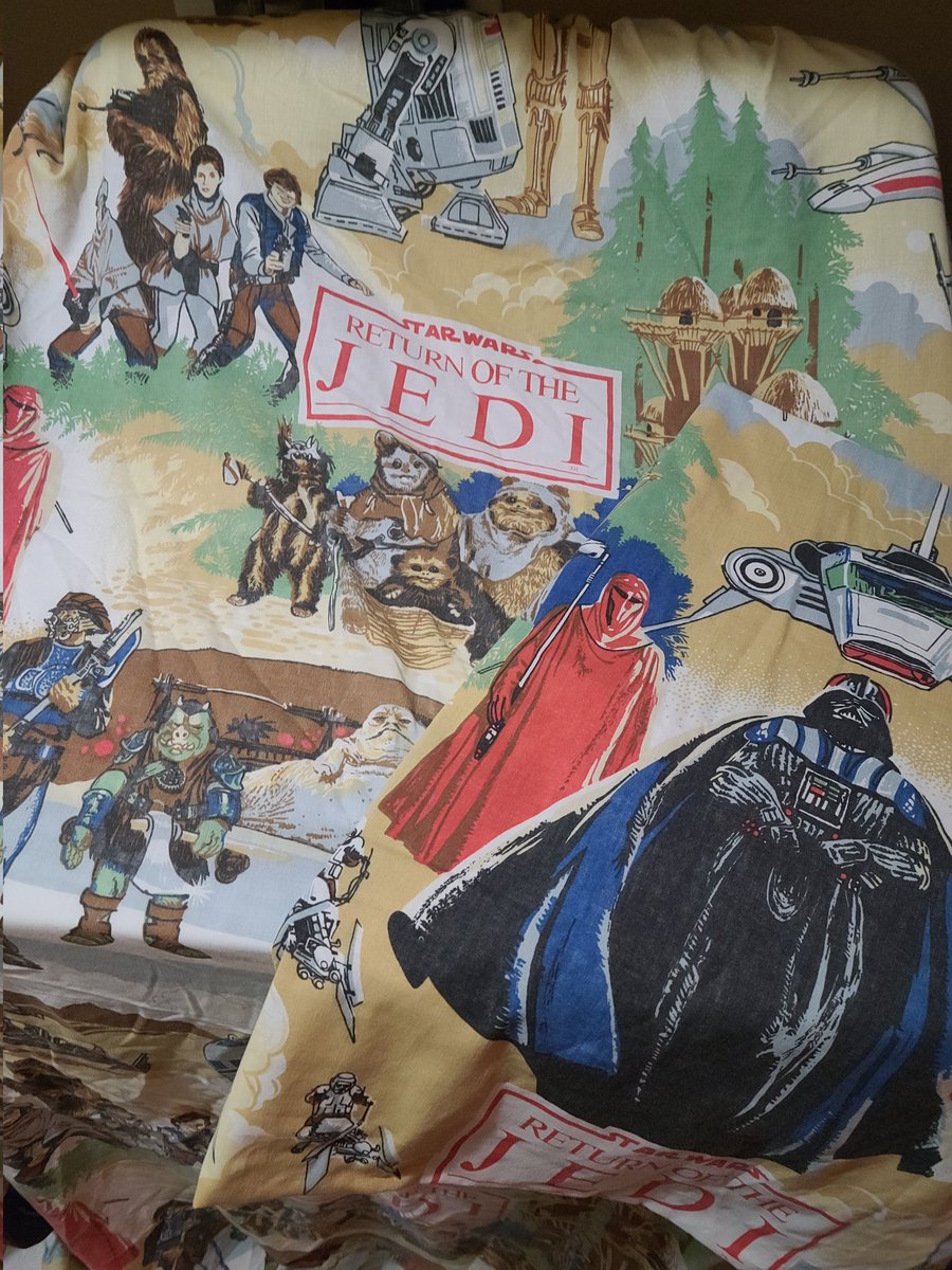 Every week we watch SonOfACritch and I say to myself 'Wish I still had my Star Wars bedsheets from when I was a kid'. Tonight said it outloudcand my wife reminded me that we do actually have them. Anyone have a twin bed for sale?