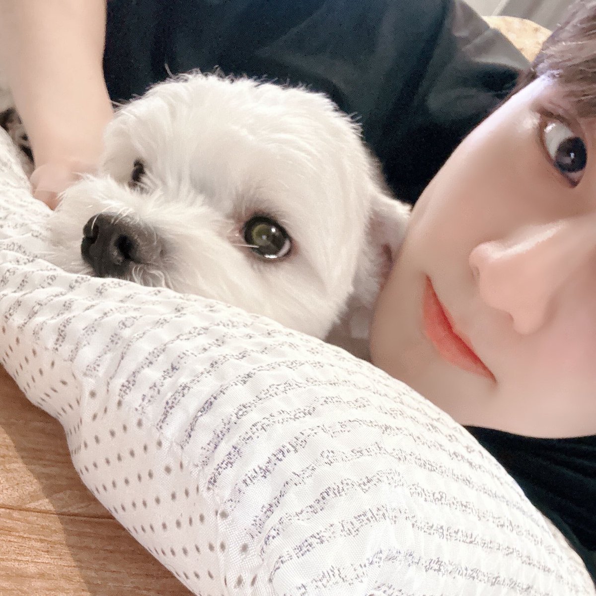 낑깡 tweet media