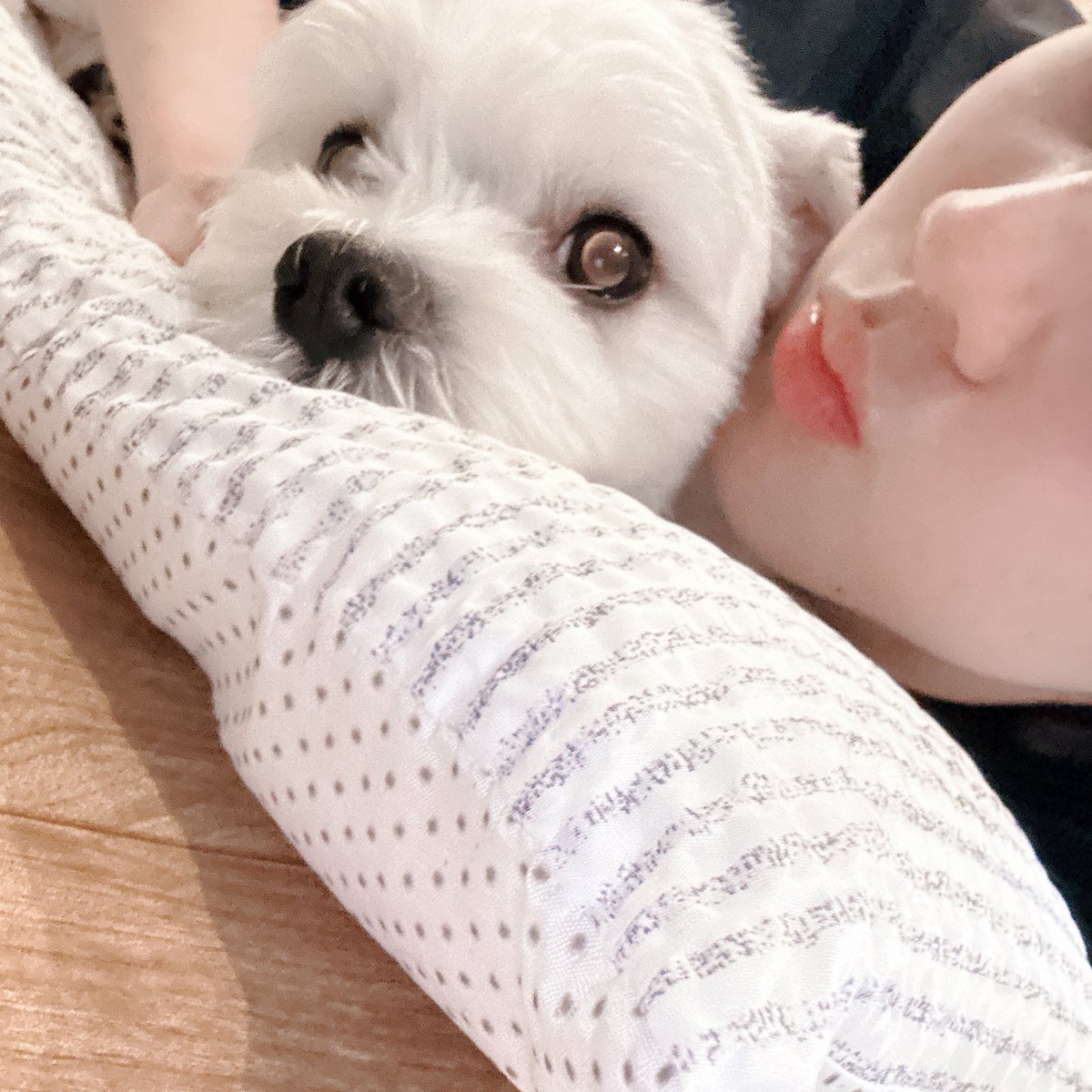 낑깡 tweet media