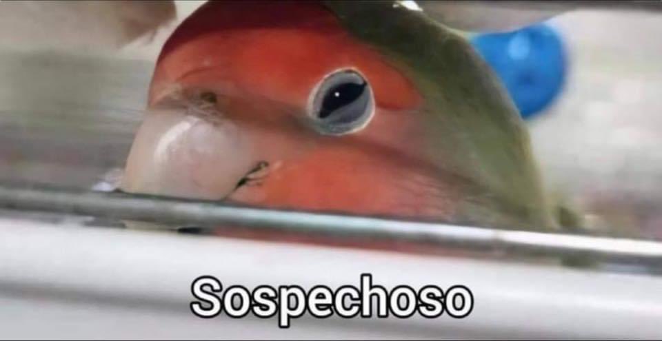 AndresBomani's tweet image. Cuando llevo 2 días con cero contratiempos en los #embarques.