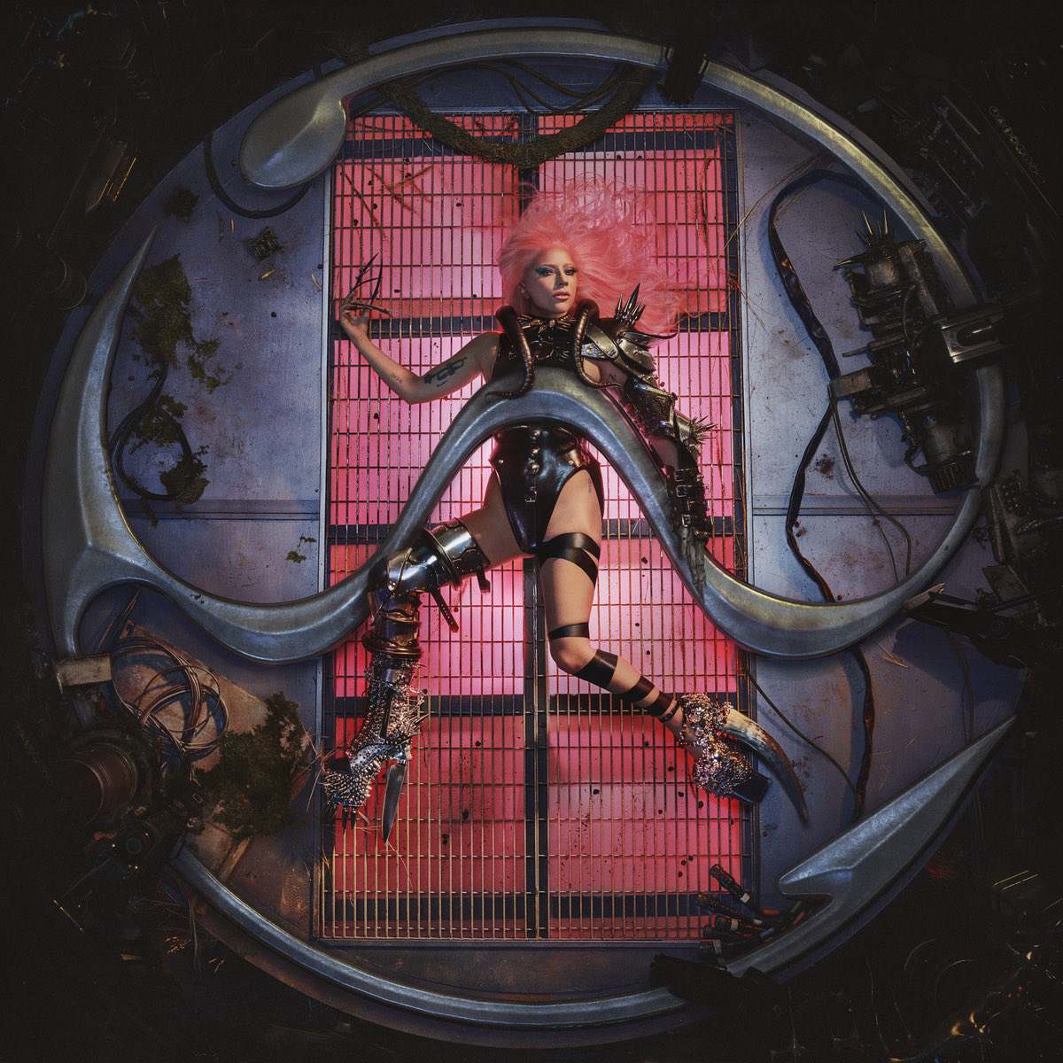 Info Lady Gaga tweet media