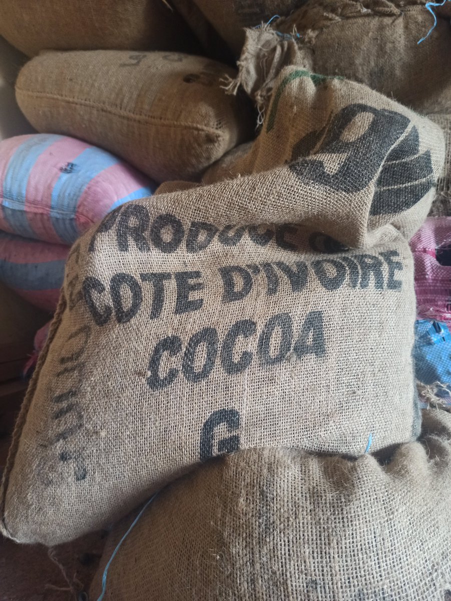 PHIM_research's tweet photo. [#phimproject] 🇨🇮 🍫Do interactions between #microbiota &amp; #cocoa_genetic mitigate the impact of cacao #swollen shoot #virus #CSSV 
👥Meet the cocoa team @AgapInstitut  #UFHB @PHIM_research @Cirad https://t.co/IqX0WmLKIs