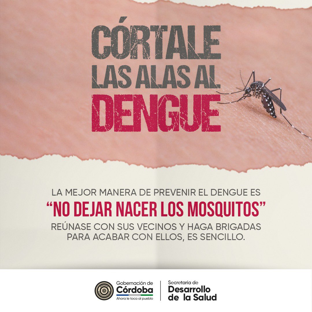 CordobaSalud's tweet photo. Recuerda que el Dengue lo podemos prevenir desde casa. 
Aquí te dejamos algunas recomendaciones. https://t.co/6Vm0NtXAwx