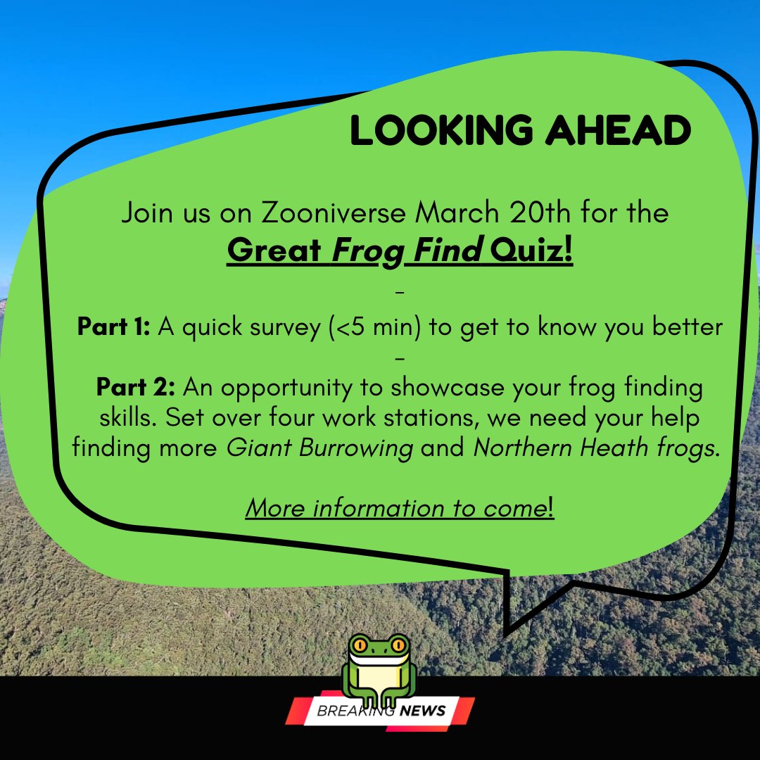 Frog Find tweet media