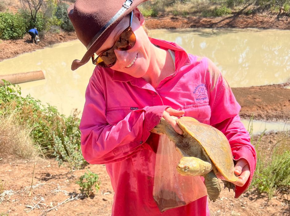Deb Bower has been out on Toorale's Western Floodplain checking out the Murray River turtle's interaction with the floodplain, and she shared her findings in an interview in Bourke. Find the interview and article here: tinyurl.com/2p3ebx9m #Une #thecewh #turtles