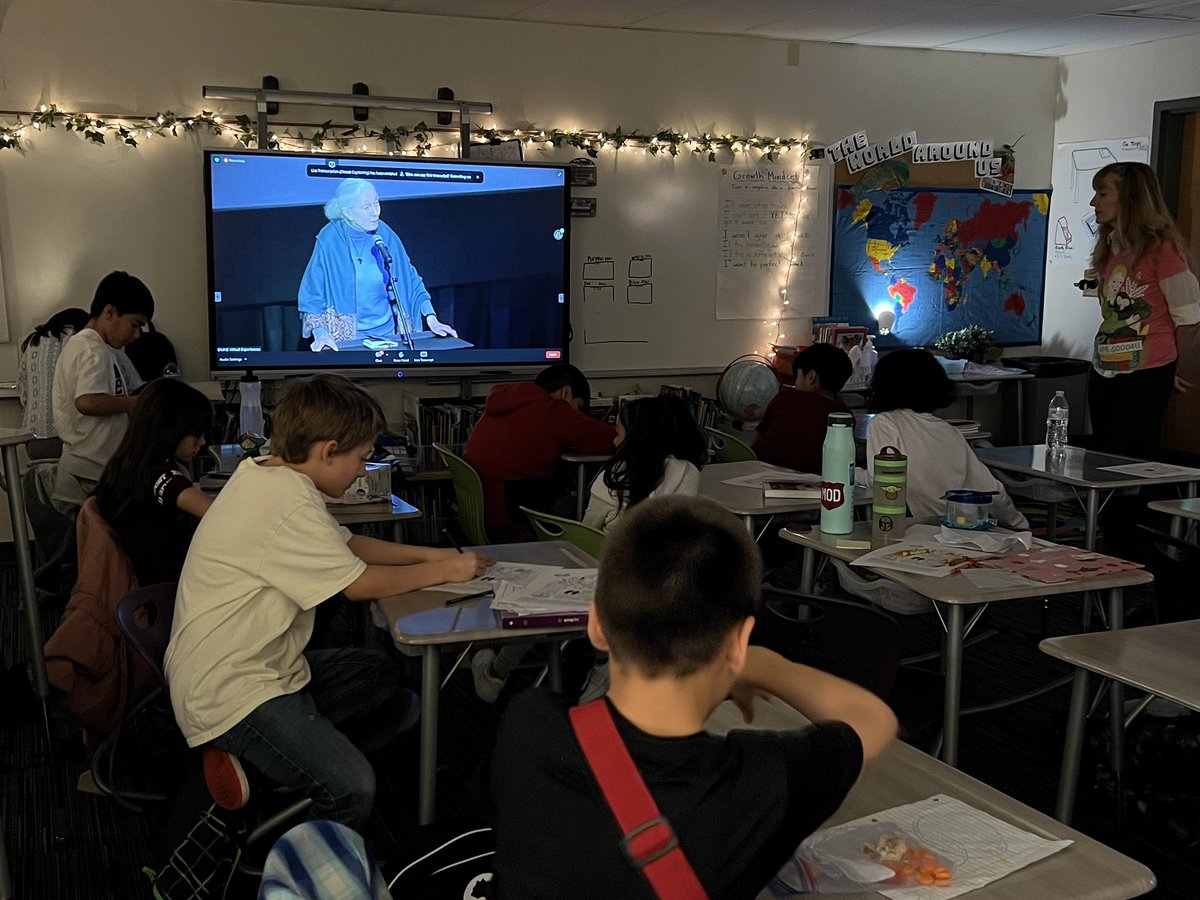 Rose Stein International tweet media