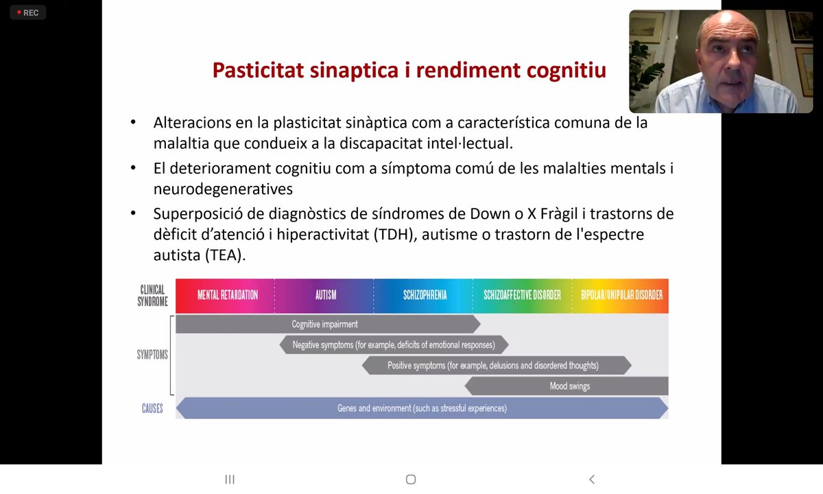XFragil_CV's tweet photo. @TeresaNF1 , miembro de nuestra Junta Directiva, participó como ponente en el Foro #DiscapacidadIntelectual organizado por @FQuaes y @UPFBarcelona junto con tres investigadores, donde se habló #SíndromeXFrágil @AndresOzaita @FEDER_ONG @PlenaCV @CERMICV #xfragilcv #xfragil https://t.co/YLnb1gIXCj