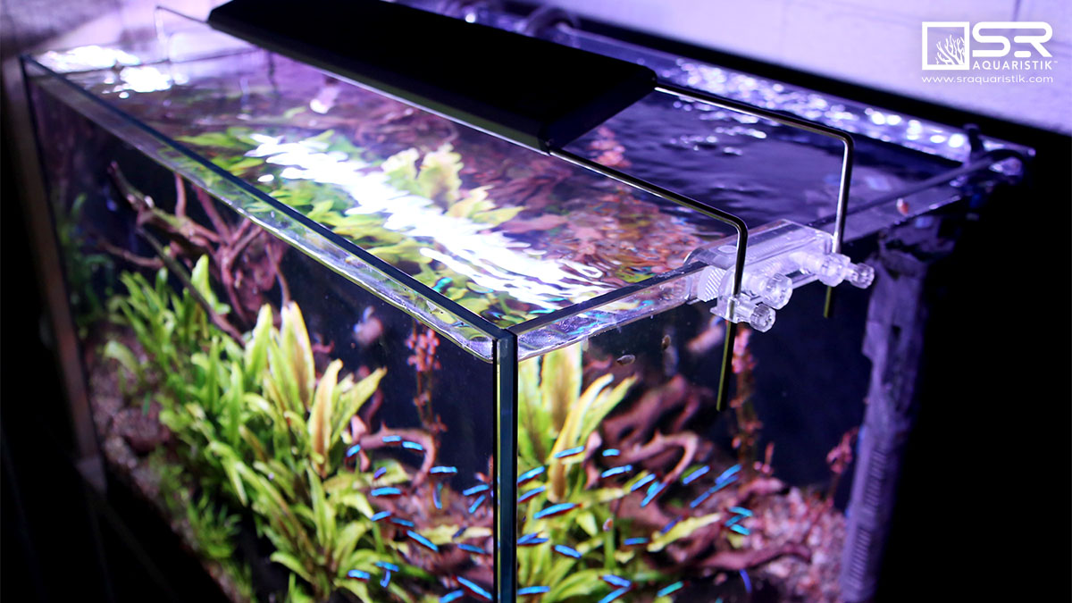 sraqua's tweet photo. The SR Aquaristik Pro Plant Freshwater LED Lights are perfect for planted aquariums because they are dimmable, customizable, &amp; they offer a more natural blended light output!

View our entire line of LED lights at the link. ⚡
https://t.co/cs0t4uz8vV
#aquariumlights #aquarium https://t.co/GQbDnpGkRR