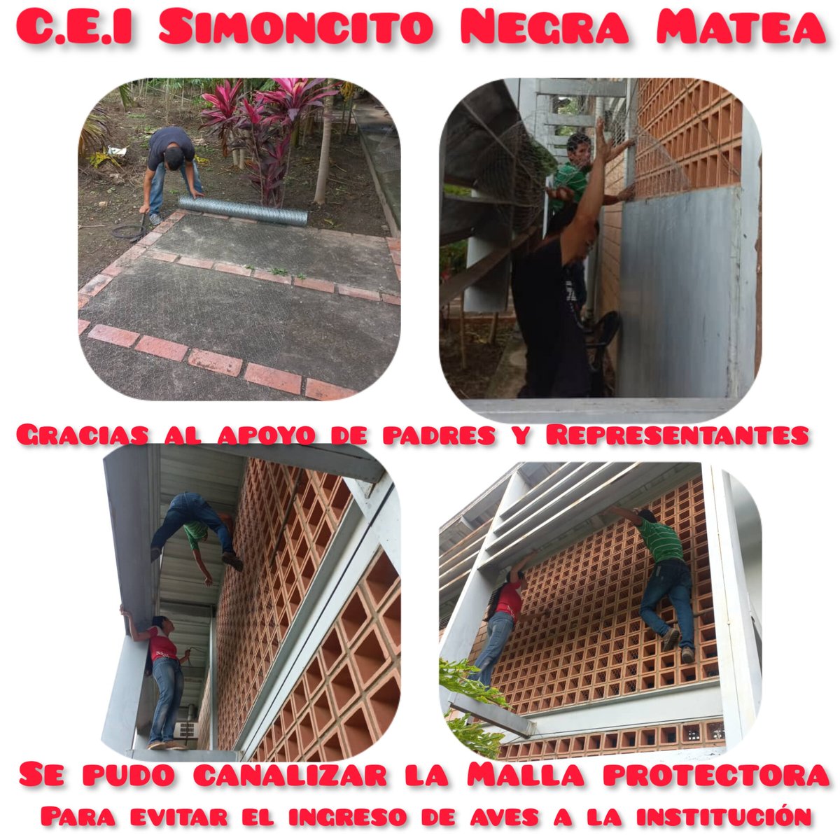 simoncito negra matea tweet media