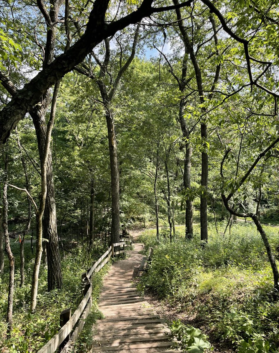 samcoolio123's tweet photo. In the summer, I traveled to a lot of parks and saw plant growth. Plants need sunshine, water, nutrients, and a good ph level in order to grow. A good ph level is between 6.5-7.0. This will allow the nutrients to be readily available for the plant. @franklinlorax #apesland https://t.co/3f2hxHRzPc