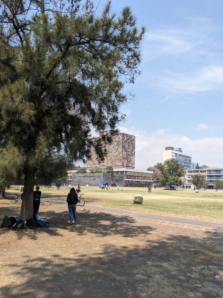 somoselcambio__'s tweet photo. Esta semana impartimos un taller de Somos el Cambio para estudiantes egresados de la @UNAM_MX ¡Estamos muy contentos de poder seguir trabajando con líderes increíbles! 💗💛💚💙
#SomosElCambio #Siente #Imagina #Haz #Comparte #CreemosParaCrear #México #ONG #YoAmoSEC #UNAM https://t.co/Zxra54bthf