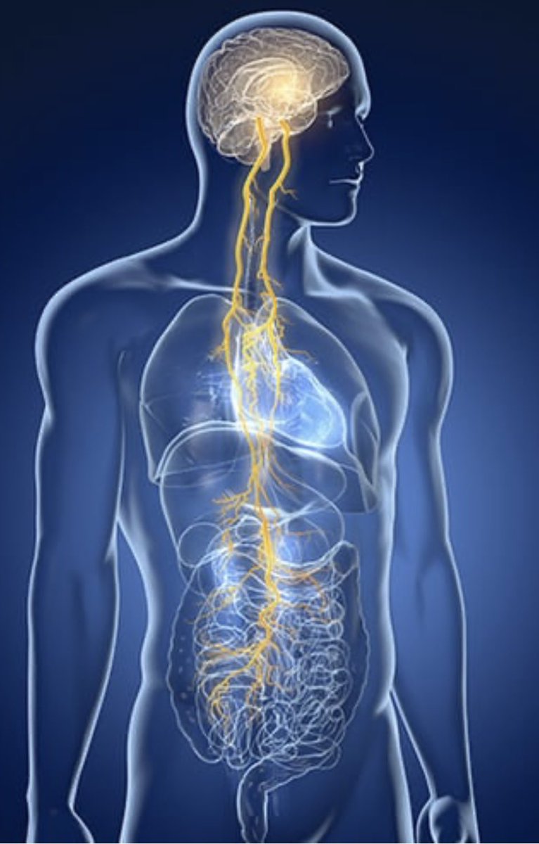 Dr. Nicole LePera tweet media