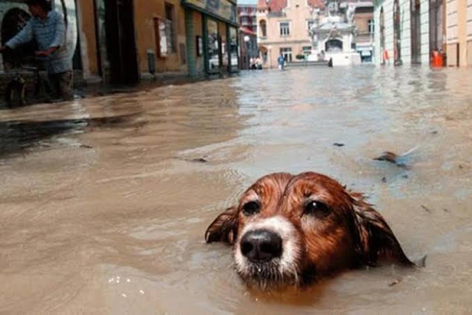 Think about it💡 tweet media