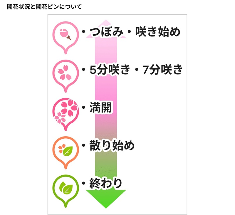 travelwatch_jp's tweet photo. Yahoo!MAP、全国約1000か所の桜の名所や開花状況を地図上で確認できる「桜開花マップ2023」提供開始 https://t.co/YfUkbdDOLK #YahooMAP #桜開花マップ #桜 #開花状況 https://t.co/nYeo50eQEq