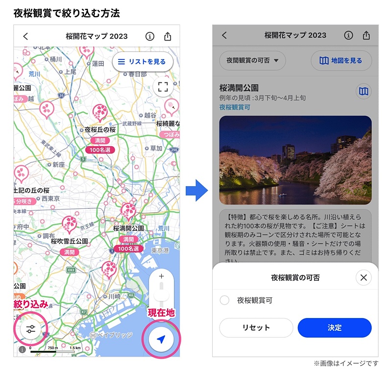 travelwatch_jp's tweet photo. Yahoo!MAP、全国約1000か所の桜の名所や開花状況を地図上で確認できる「桜開花マップ2023」提供開始 https://t.co/YfUkbdDOLK #YahooMAP #桜開花マップ #桜 #開花状況 https://t.co/nYeo50eQEq