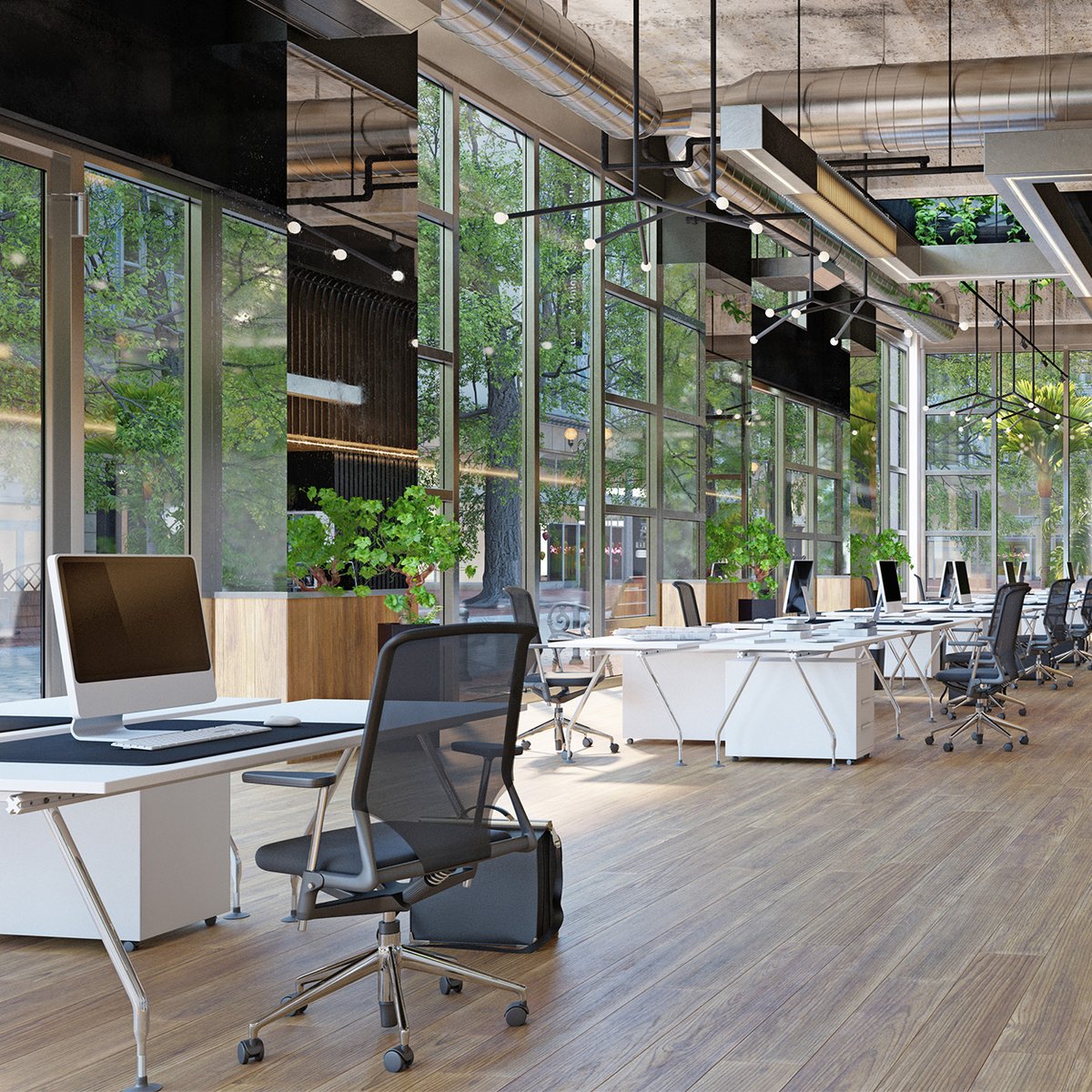Hassell tweet media