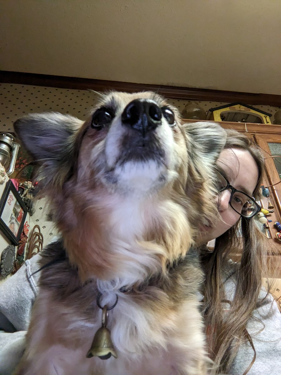 twistingmyths's tweet image. Aloha. I'm Patty and I'm still down south dealing with a family death so no writing but lots of time with cute dogs. #writestuff