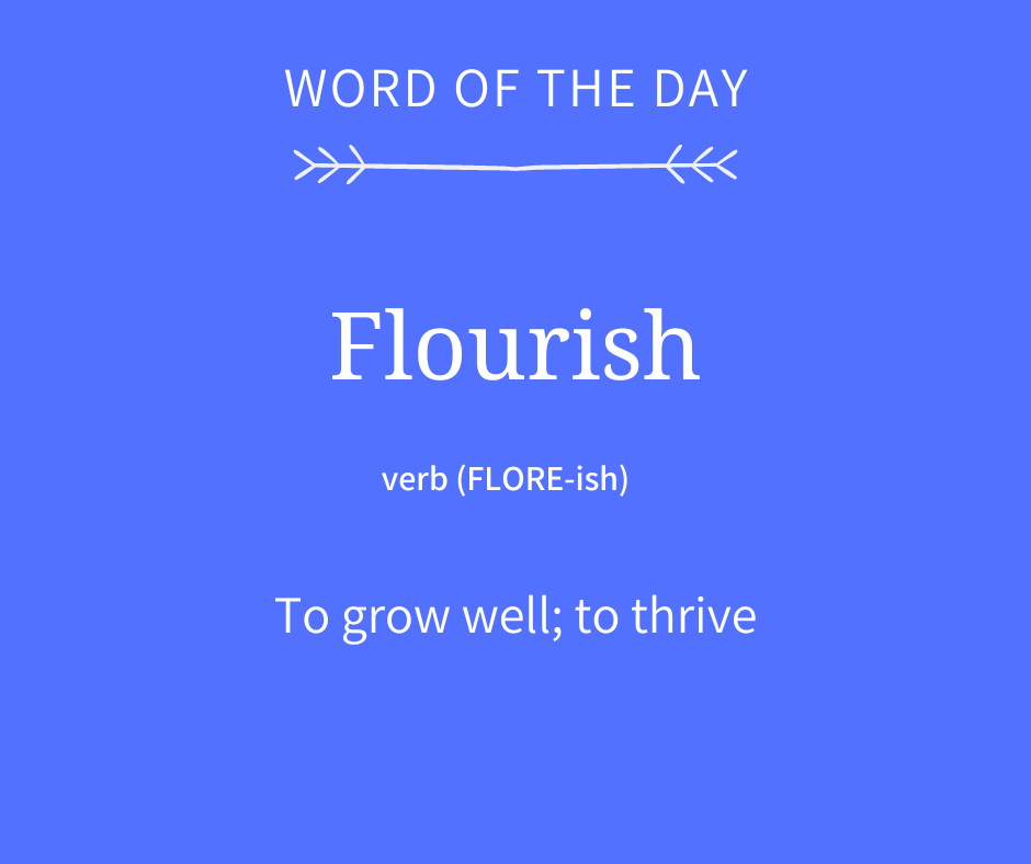 Home2Teach's tweet photo. In what areas of your life do you feel you're flourishing? 🌱 #WordOfTheDay #vocabulary https://t.co/KsX88rNAW0
