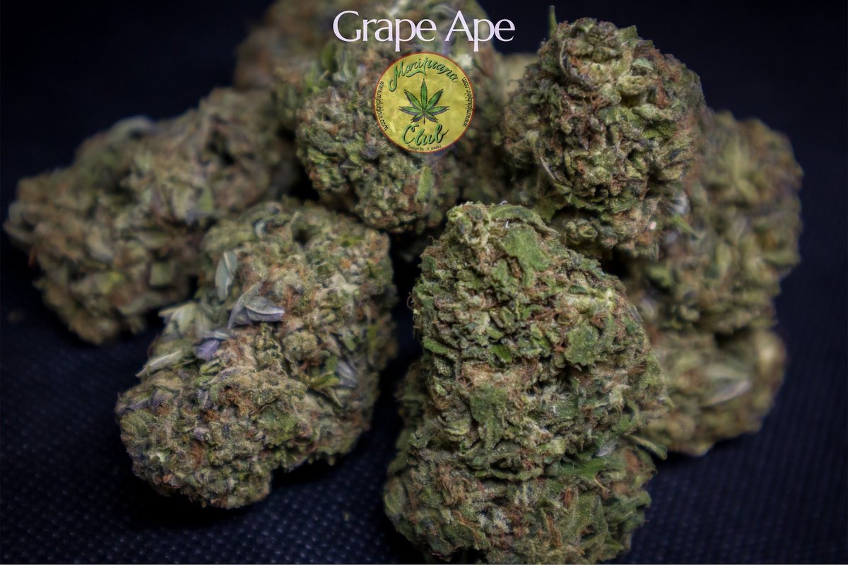 rushgreen15's tweet photo. ‼️New Drop This Week‼️

Follow me on Instagram: @marijuanaclub.916 
Text me: 916-519-9848
Follow me on Twitter: @rushgreen15
Follow my YouTube Page: marijuana club 916
go to my website @ https://t.co/uTHbse5l7c https://t.co/9Ul3QChcJz