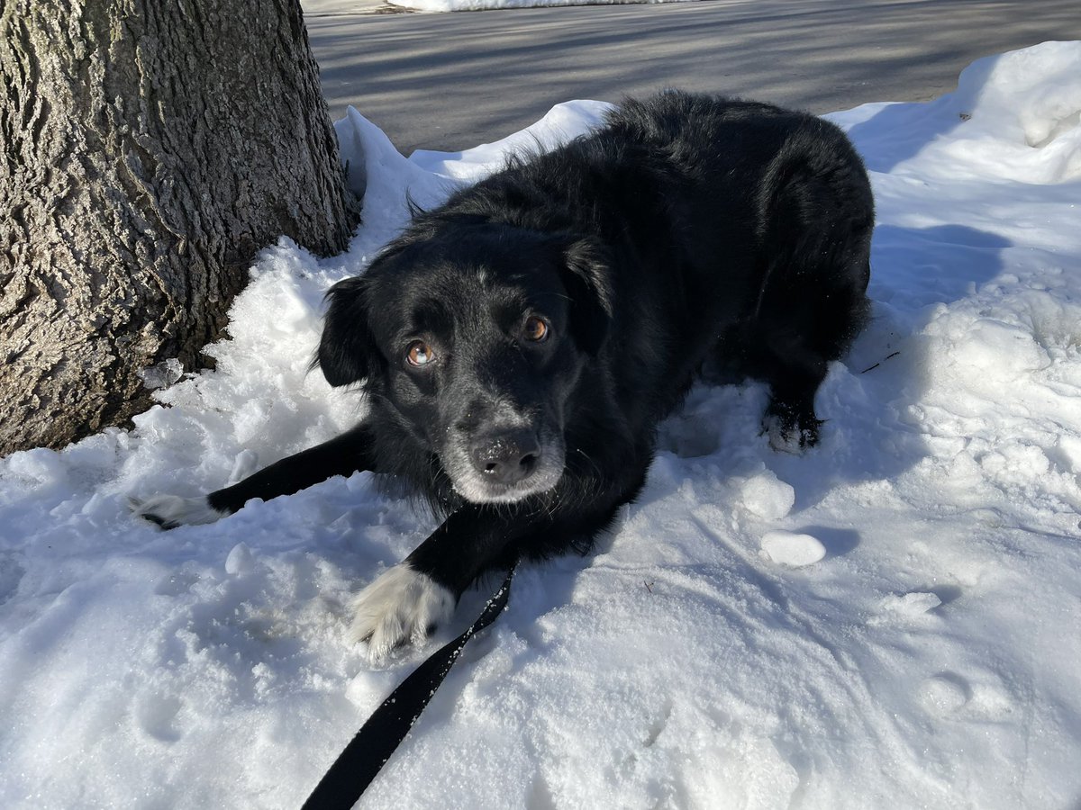 BeanQueen Gaddy tweet media