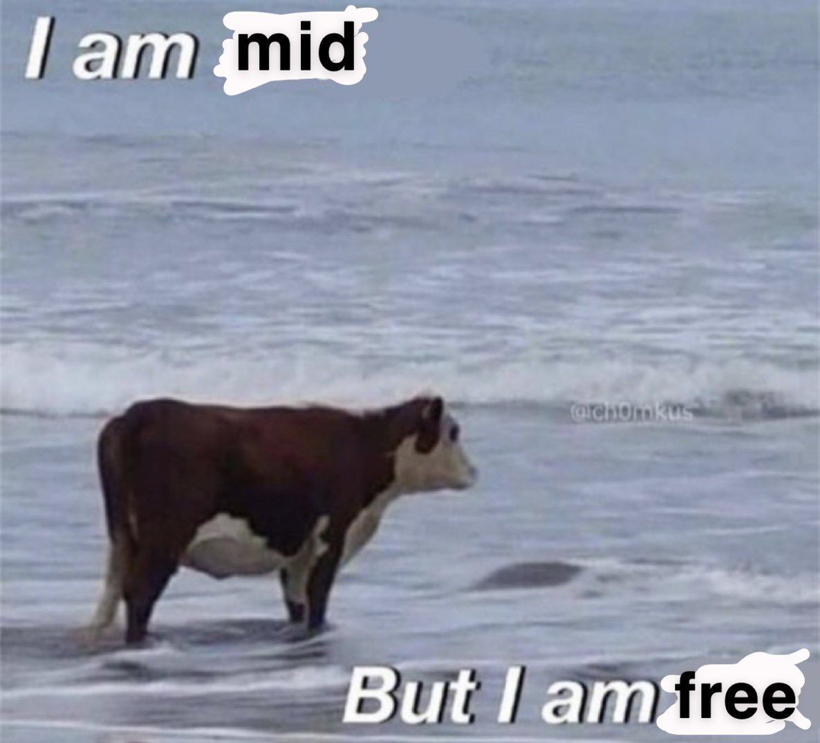 when I don’t wear mascara so I can rub my eyes