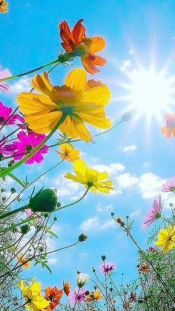 💕 " بــــــنت العفيــــــة" 💕 tweet media